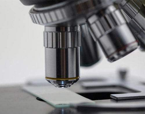 Evidence for God from Contemporary Science