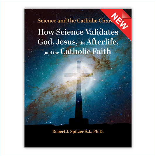 Confirmation and Catechesis Video Series